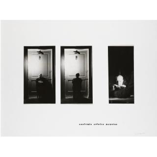 Michele Zaza - Naufragio Euforico