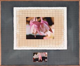 Michelle Stuart - Correspondences: Time Connecticut Fuchsia