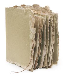 Michelle Stuart - Green Pines Massachusetts Grasses