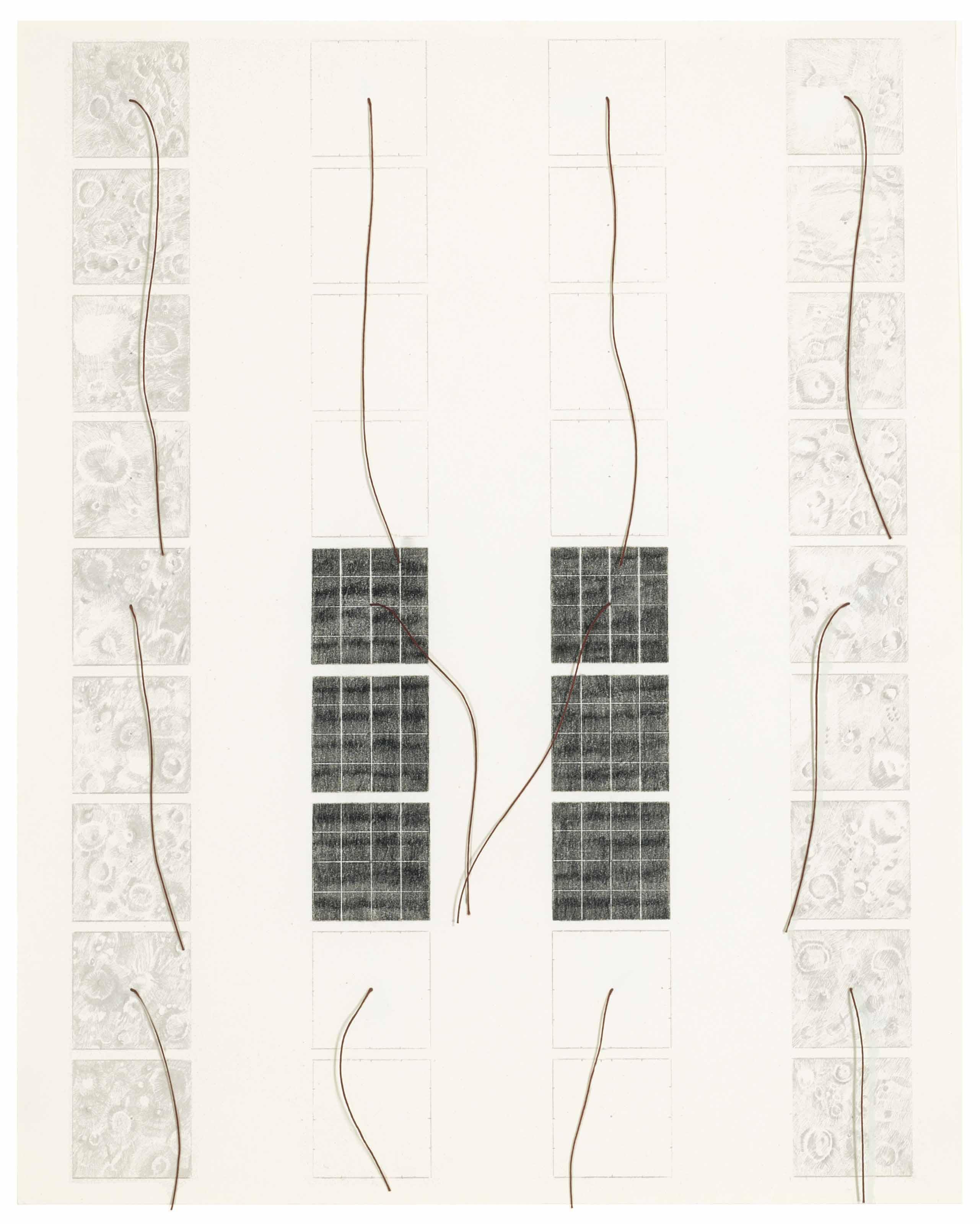 Michelle Stuart - Magnetic Forces