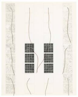 Michelle Stuart - Magnetic Forces