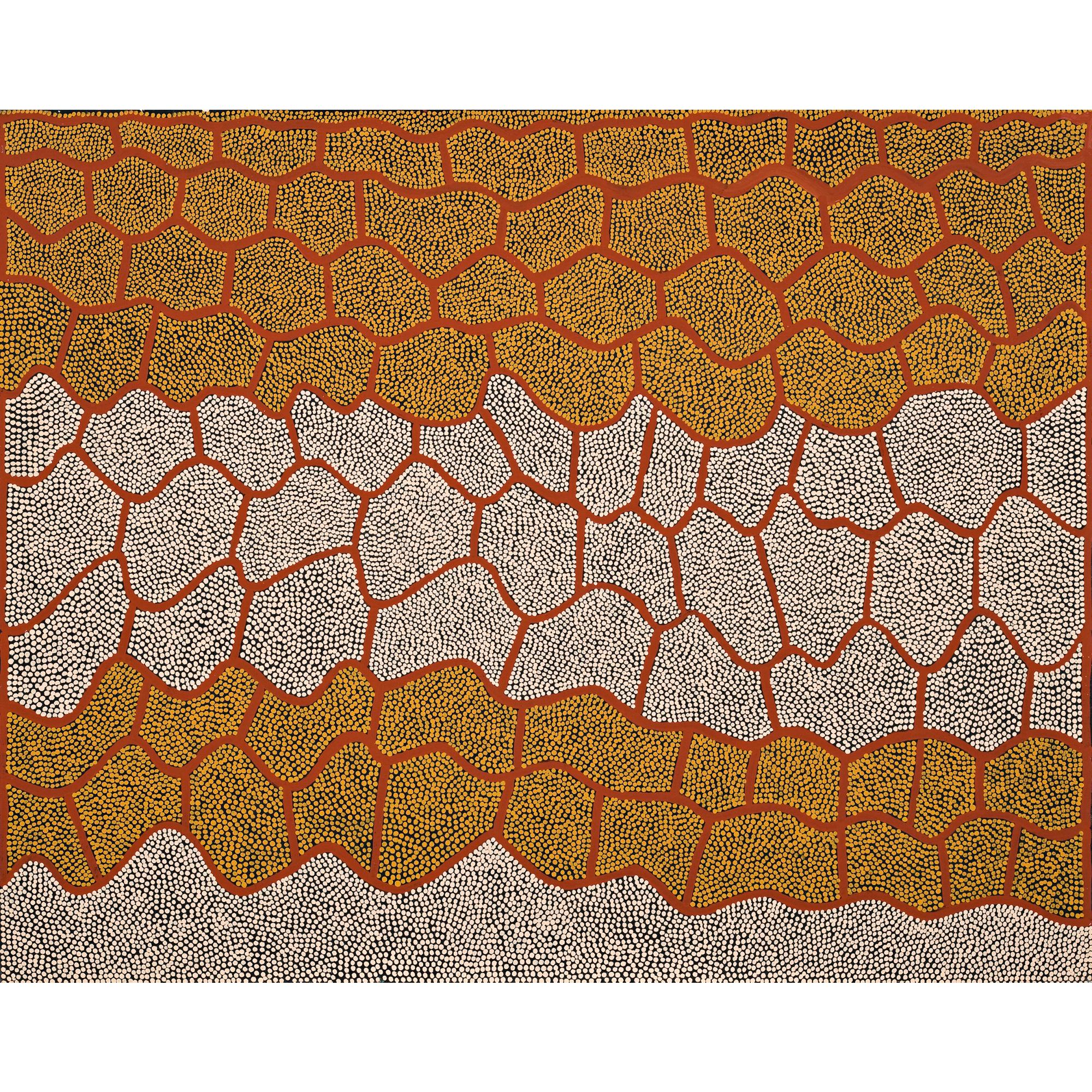 Mick Namarari Tjapaltjarri - Marnpi Rockhole