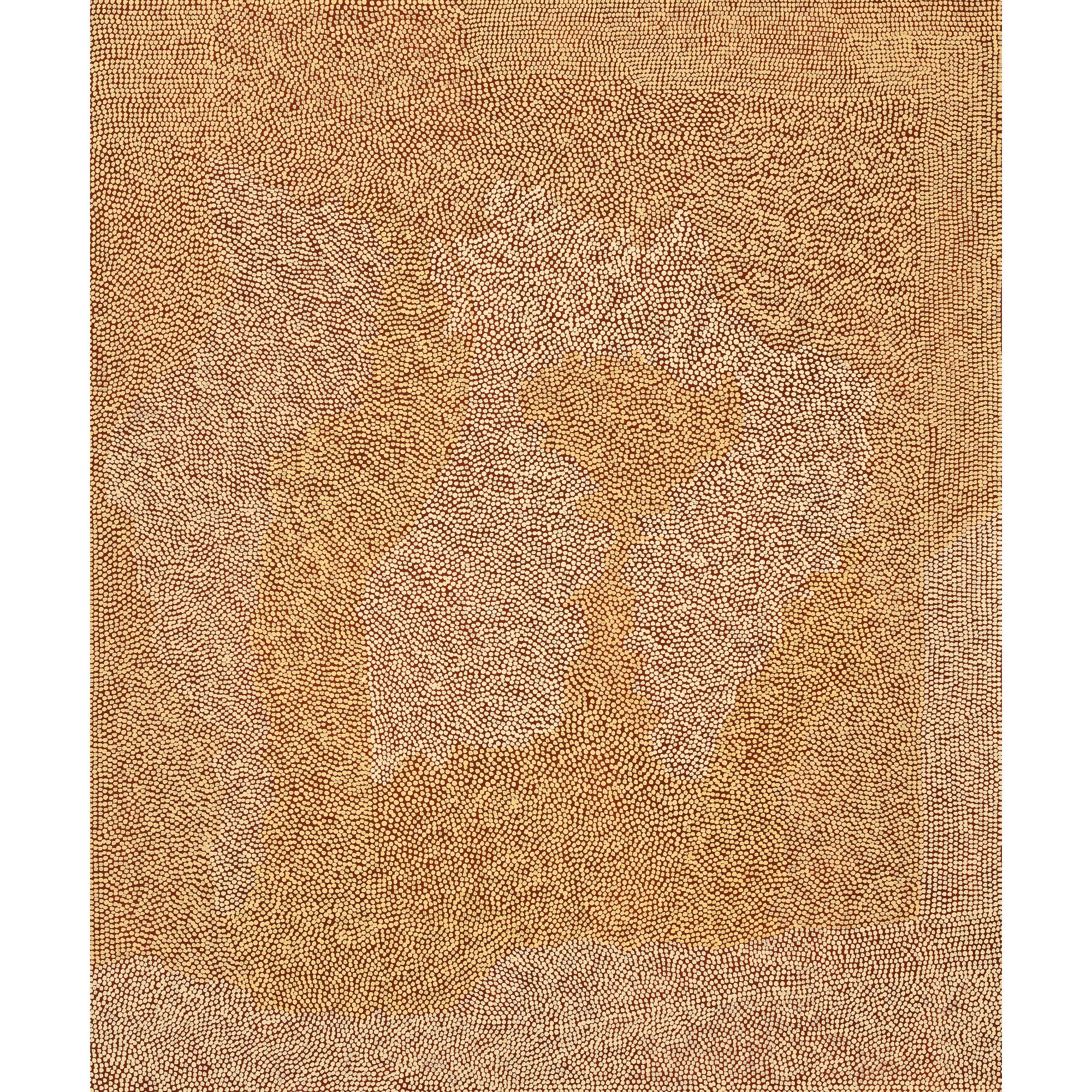 Mick Namarari Tjapaltjarri - Tjunginpa (Mouse Dreaming)