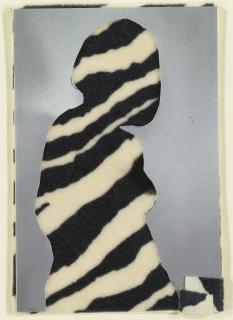 Mickalene Thomas - Untitled