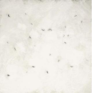 Miguel Barceló - Huîtres III