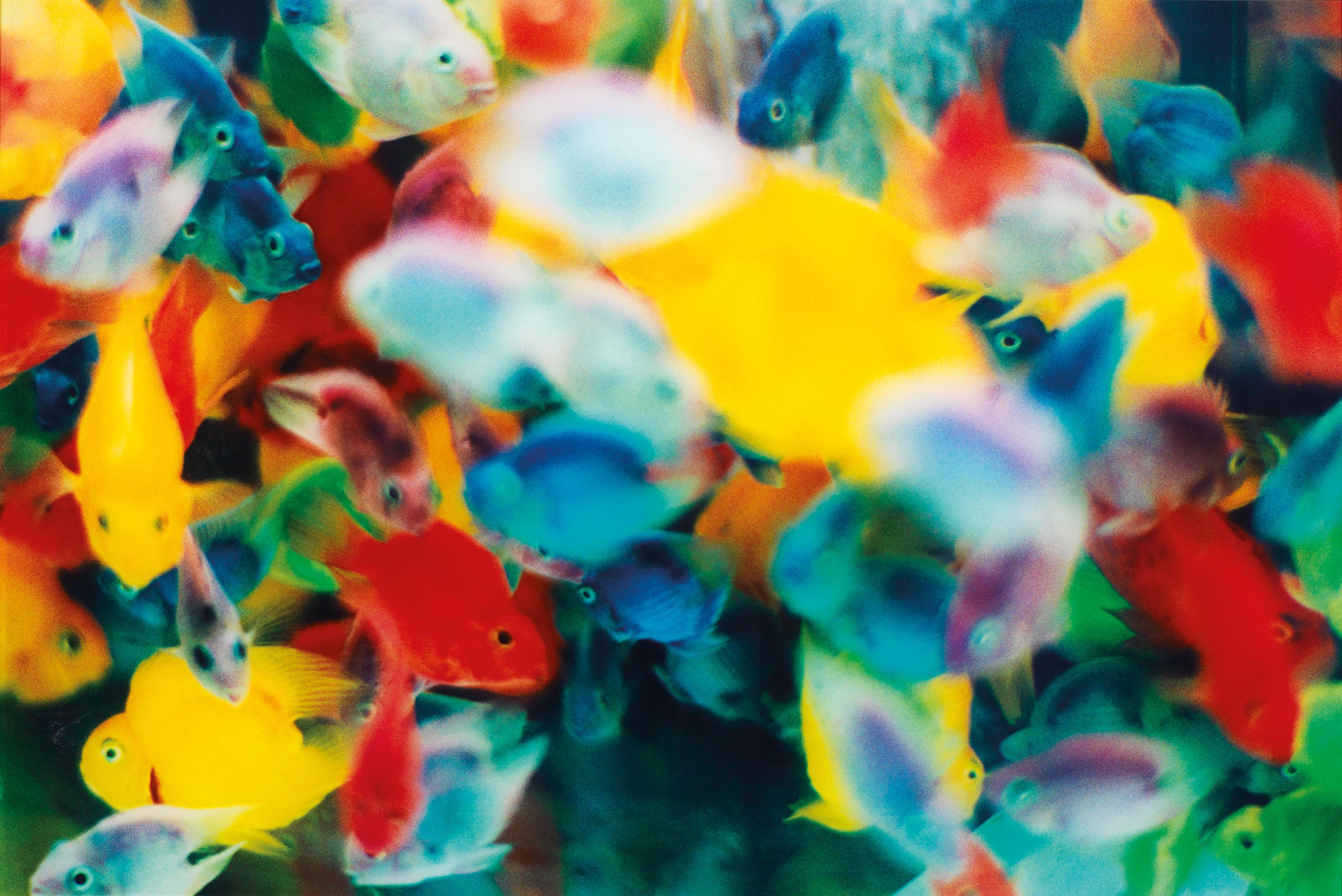 Mika Ninagawa - NOIR