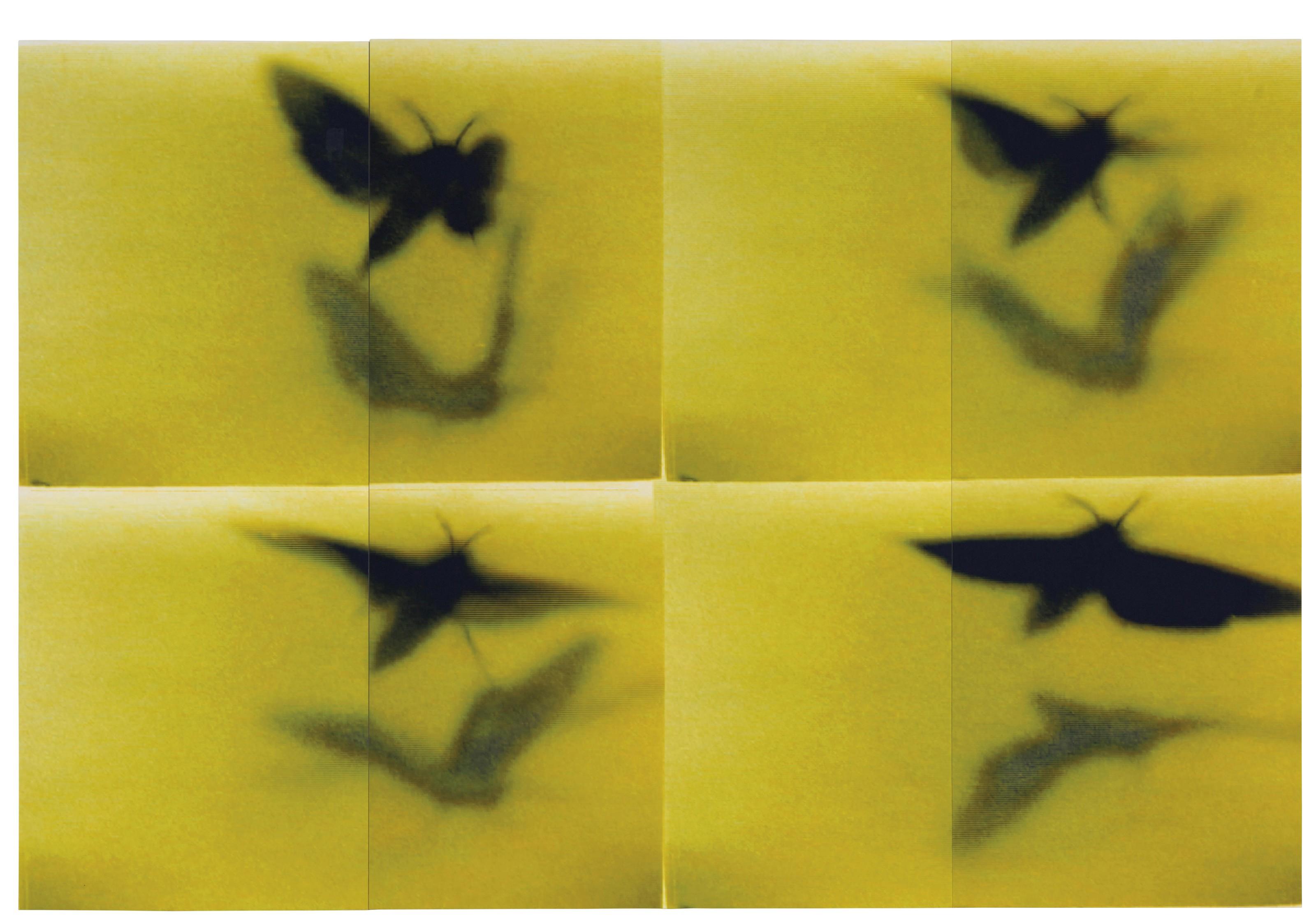 Mike And Doug Starn - ATL Film Still # 8