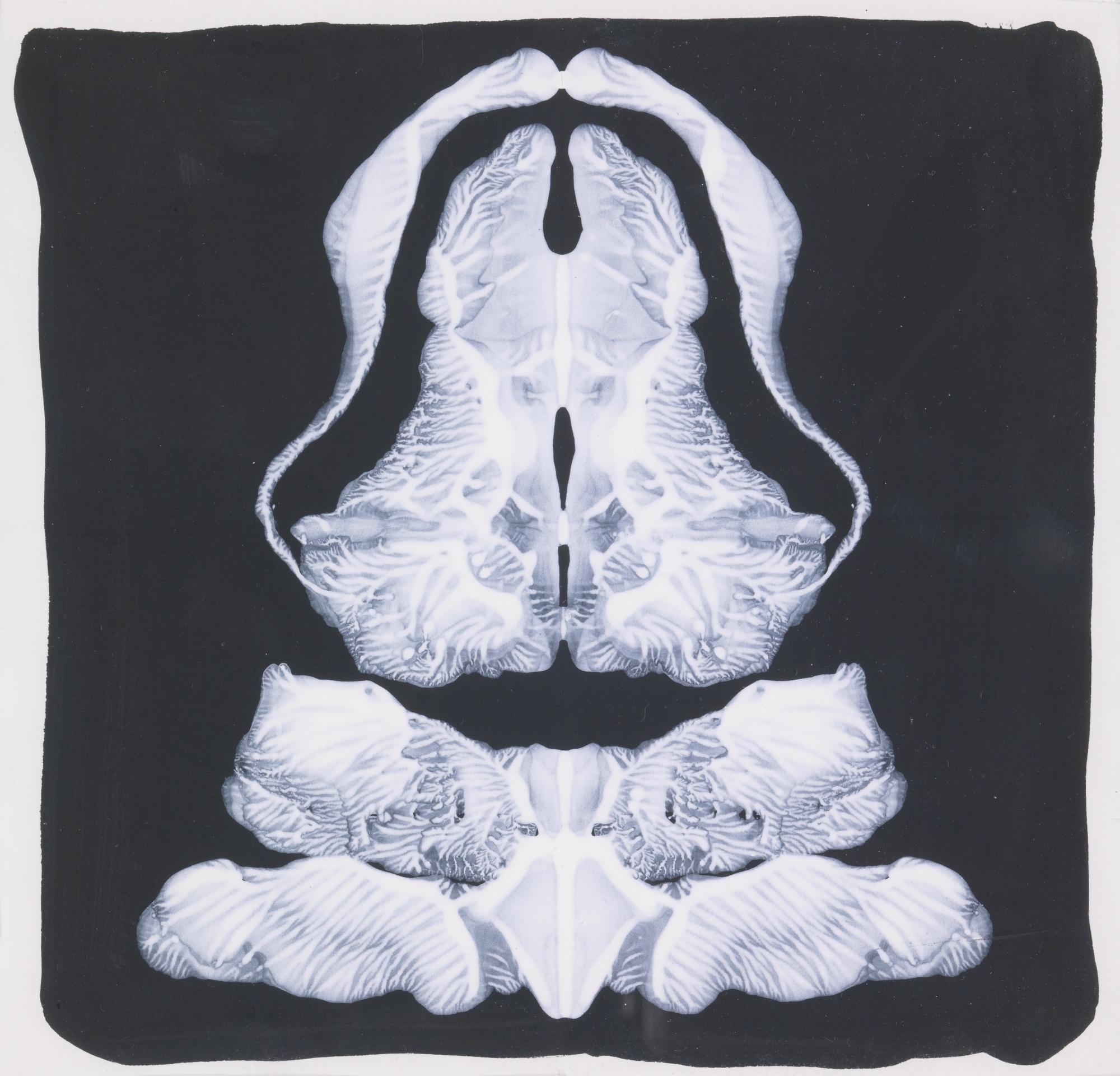 Mike Bidlo - Rorschach Test