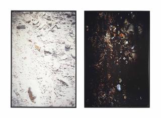 Mike Kelley - Black Garbage (Grassy Island, [Canadian])/ White Garbage (Bob Lo Island)