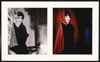 Mike Kelley - Extracurricular Activity Projective Reconstruction #20 (Lonely Vampire)