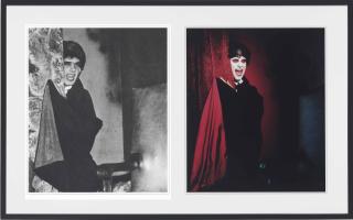 Mike Kelley - Extracurricular Activity Projective Reconstruction #20 (Lonely Vampire)
