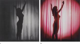 Mike Kelley - Extracurricular Activity Projective Reconstruction #26 (Exotic Dancer)