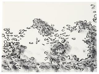 Mike Kelley - Garbage Drawing #21