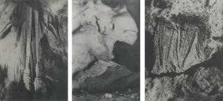 Mike Kelley - Selected Images From The Poetry Of Form: Part Of An Ongoing Attempt To Develop An Auteur Theory Of Naming (2)