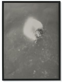 Mike Kelley - Untitled 1-13 (Dust), 1994-1999