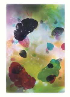 Mike Kelley - Untitled [Color And Form]