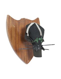 Mike Nelson - Trophy Head