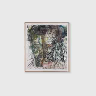 Mike Parr - The Enquiry (Menbrane of the 20th Century), 1987