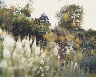 Mike Perry - Blue boarder 1, walled garden, Parham House, 2009