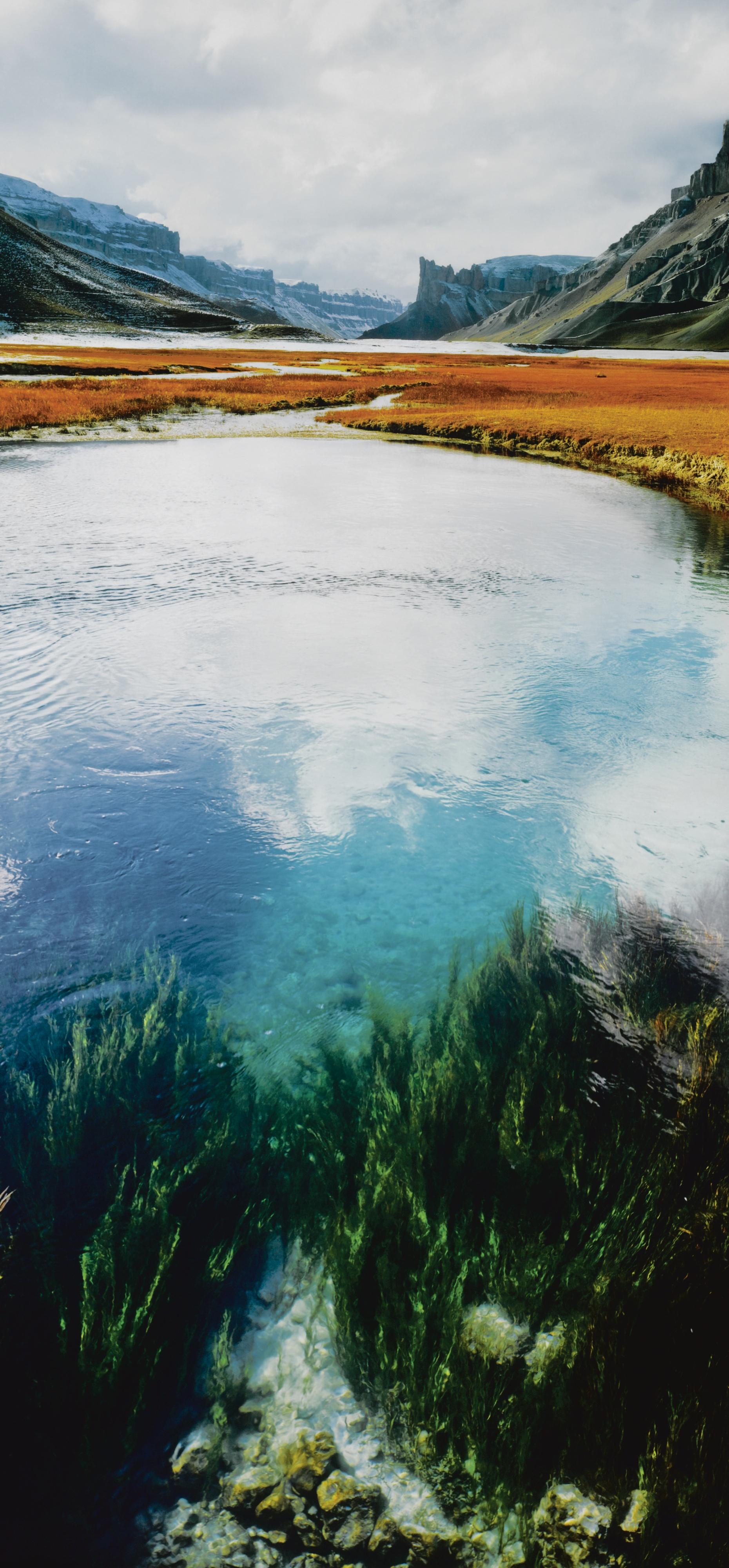 Mikkel Mcalinden - Undertow / Dragsug (2004)