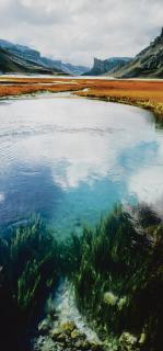 Mikkel Mcalinden - Undertow / Dragsug (2004)