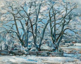 Mikko Carlstedt - Vinterdag