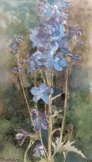 Mildred Anne Butler, R.W.S - Study of a Delphinium