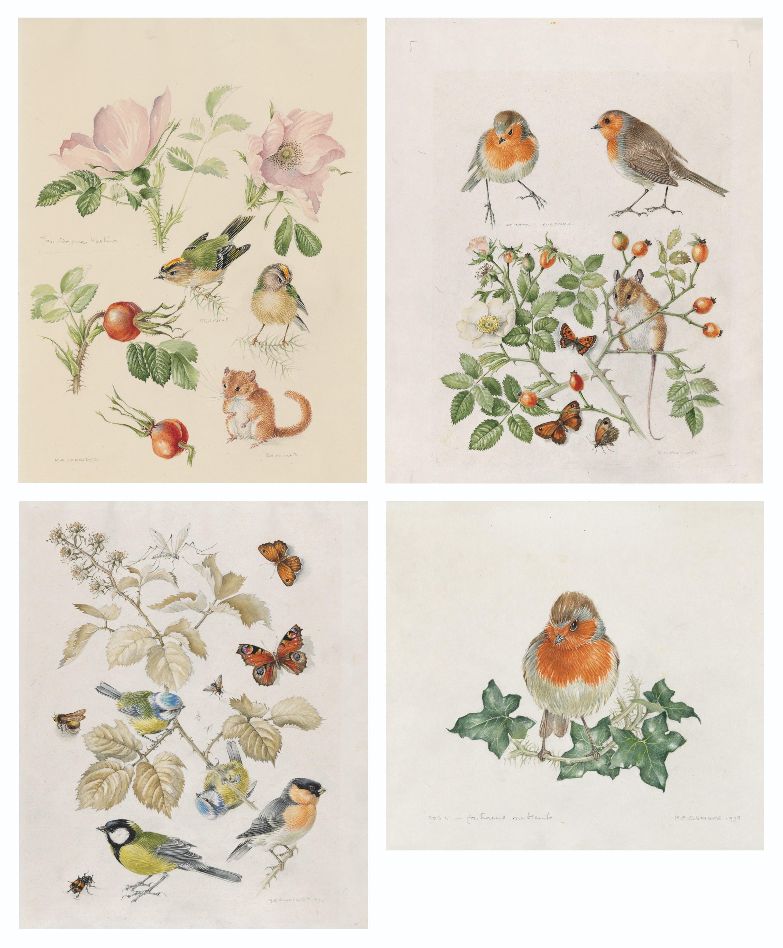 Mildred E. Eldridge - Dormouse, goldcrest and rose \'Fru dagmar hastrup\'; Robin, field mouse and rose \'Rugosa alba\'; Blue tit, great tit and bullfinch on a bramble; Robin on ivy