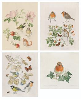 Mildred E. Eldridge - Dormouse, goldcrest and rose \'Fru dagmar hastrup\'; Robin, field mouse and rose \'Rugosa alba\'; Blue tit, great tit and bullfinch on a bramble; Robin on ivy
