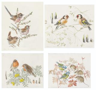 Mildred E. Eldridge - Four studies: Wren and Dartford warbler; Robin; Blue tit and bank vole; and goldfinch