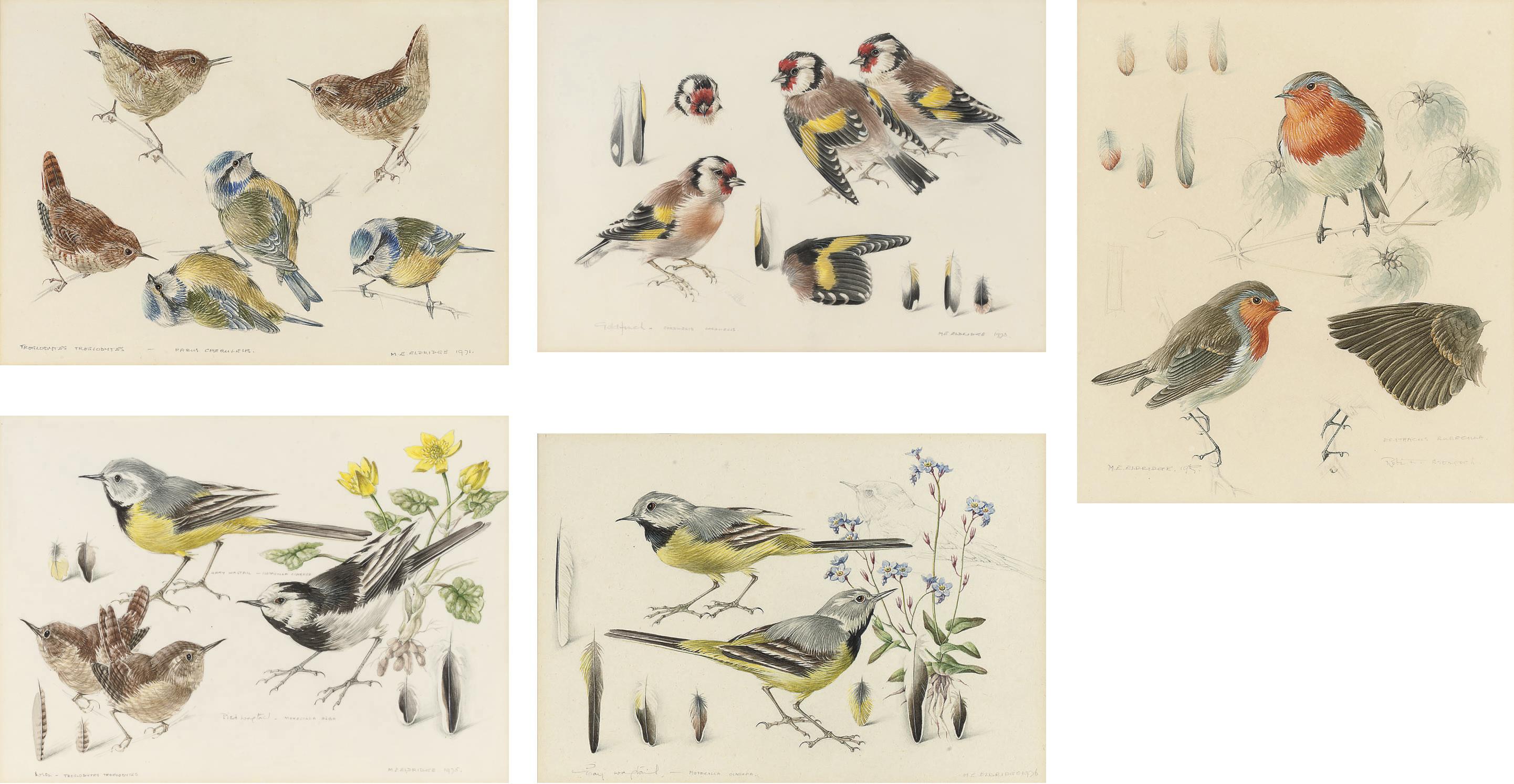Mildred E. Eldridge - Gray Wagtails; The Common Wren; Pied Wagtails; Goldfinches; and Robins