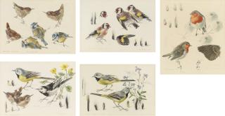 Mildred E. Eldridge - Gray Wagtails; The Common Wren; Pied Wagtails; Goldfinches; and Robins