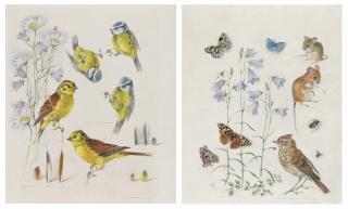 Mildred E. Eldridge - Studies of yellowhammer and blue tits, with harebells and daisies; Skylark and fieldmouse with butterflies and harebells; Bullfinch with borage