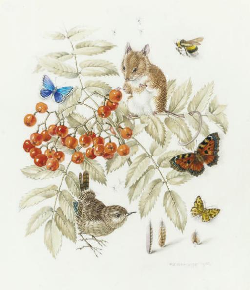 Mildred E. Eldridge - Study of a Pied Flycatcher; and Forest friends (illustrated)