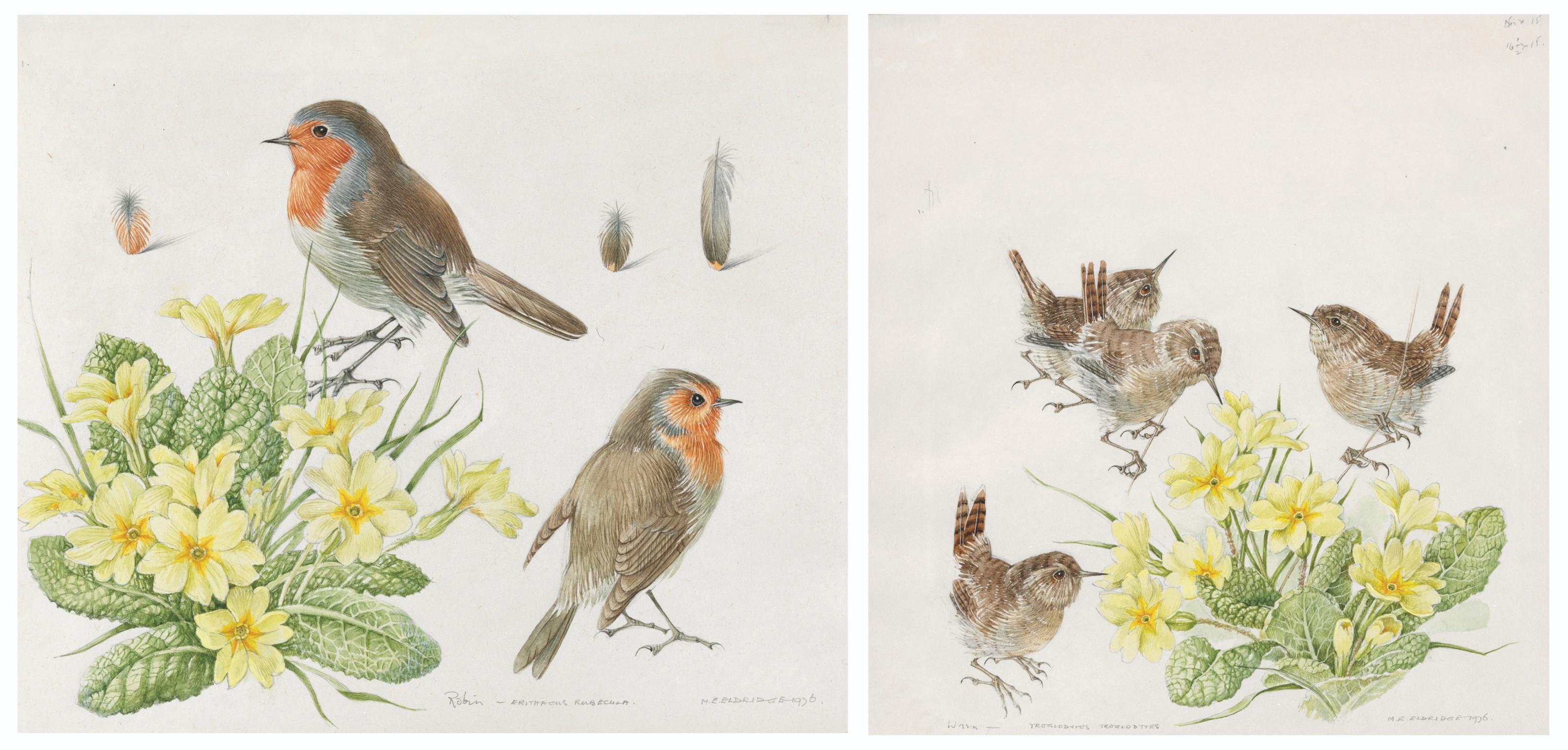 Mildred E. Eldridge - Three studies: Robin with primroses; Wren with primroses; and Bank vole and wood mouse with violets