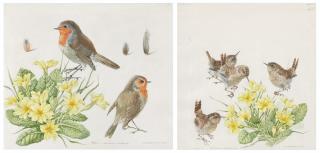 Mildred E. Eldridge - Three studies: Robin with primroses; Wren with primroses; and Bank vole and wood mouse with violets