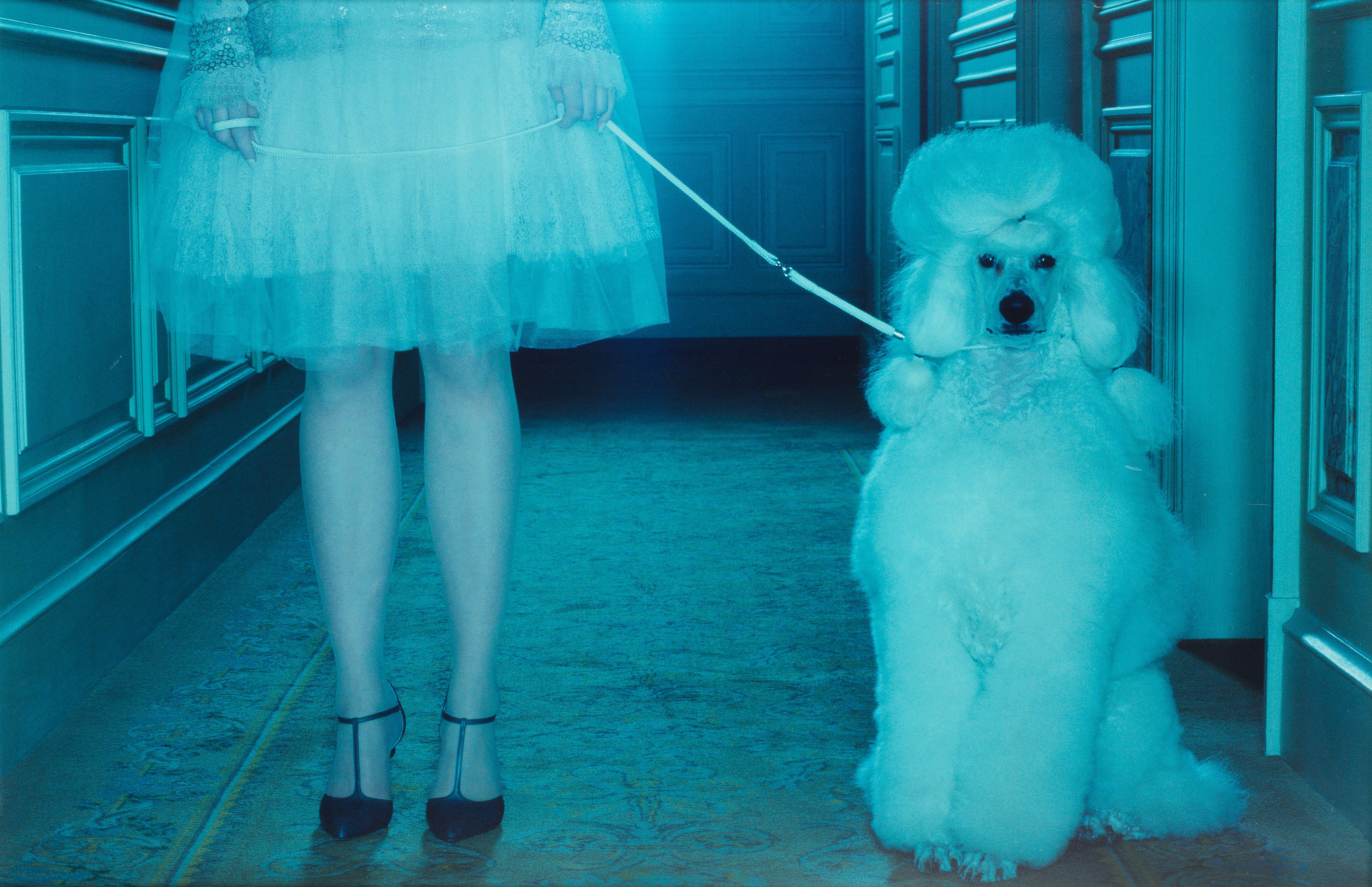 Miles Aldridge - Gleaming Evenings #3