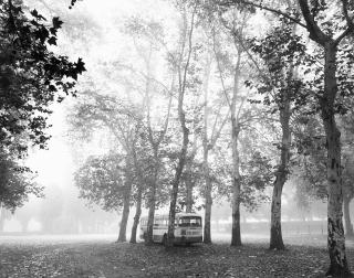 Mimmo Jodice - Il Bosco 1984