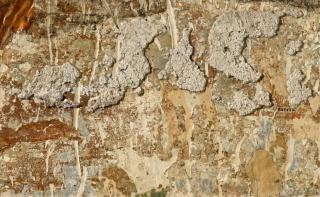 Mimmo Rotella - Muro romano 5