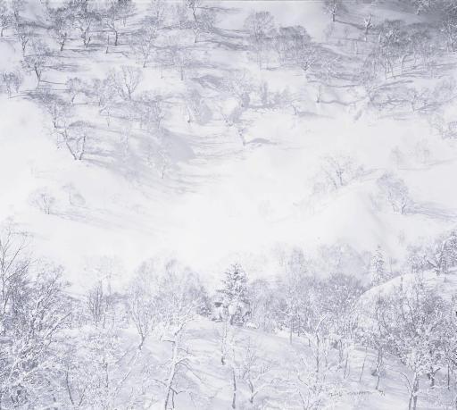 Min Byung Hun - Snow Land
