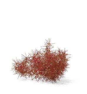 Mindy Shapero - A possibility of a circle trap outside of its own reality…