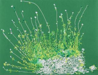 Mindy Shapero - It\'s the same place that we were when there was nothing anywhere except this time there is nothing everywhere.