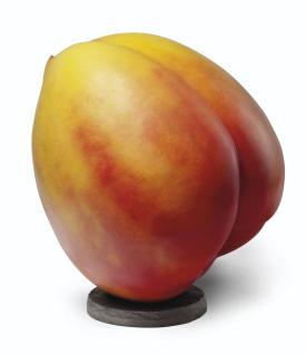 Ming Fay - Nectarine