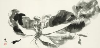 Minol Araki - Chinese Cabbage And Chili Peppers