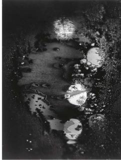 Minor White - Beginnings, 1962