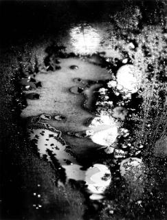 Minor White - Beginnings