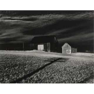 Minor White - \'Jupiter Portfolio\'