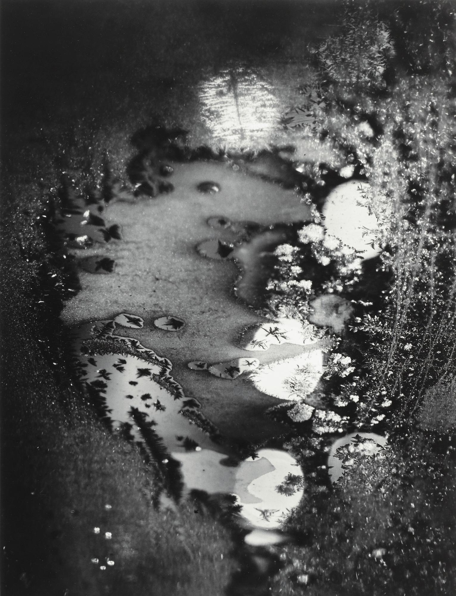 Minor White - Jupiter Portfolio\'