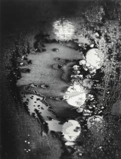 Minor White - Jupiter Portfolio\'