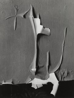 Minor White - Peeled Paint, Rochester